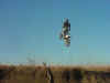 peter getting crazy in the air.jpg (36882 bytes)